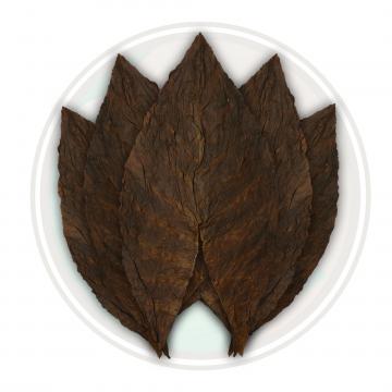 Dominican Ligero Olor Cigar Filler Tobacco Leaf